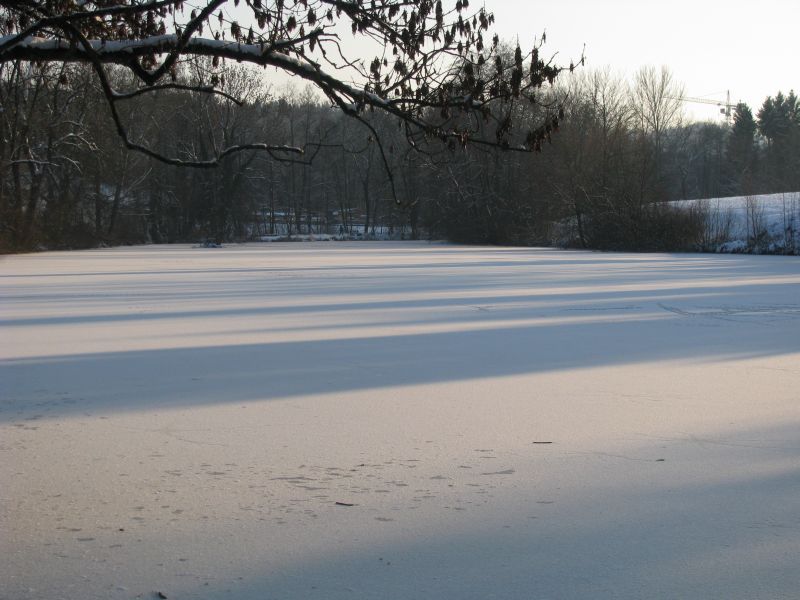 Winter Winter